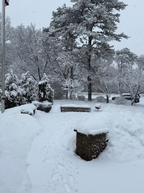 snow-2026